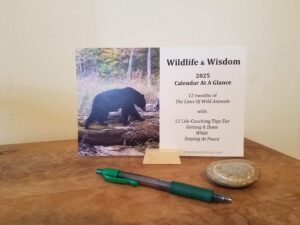 2025 Wildlife & Mindset Desk Calendar