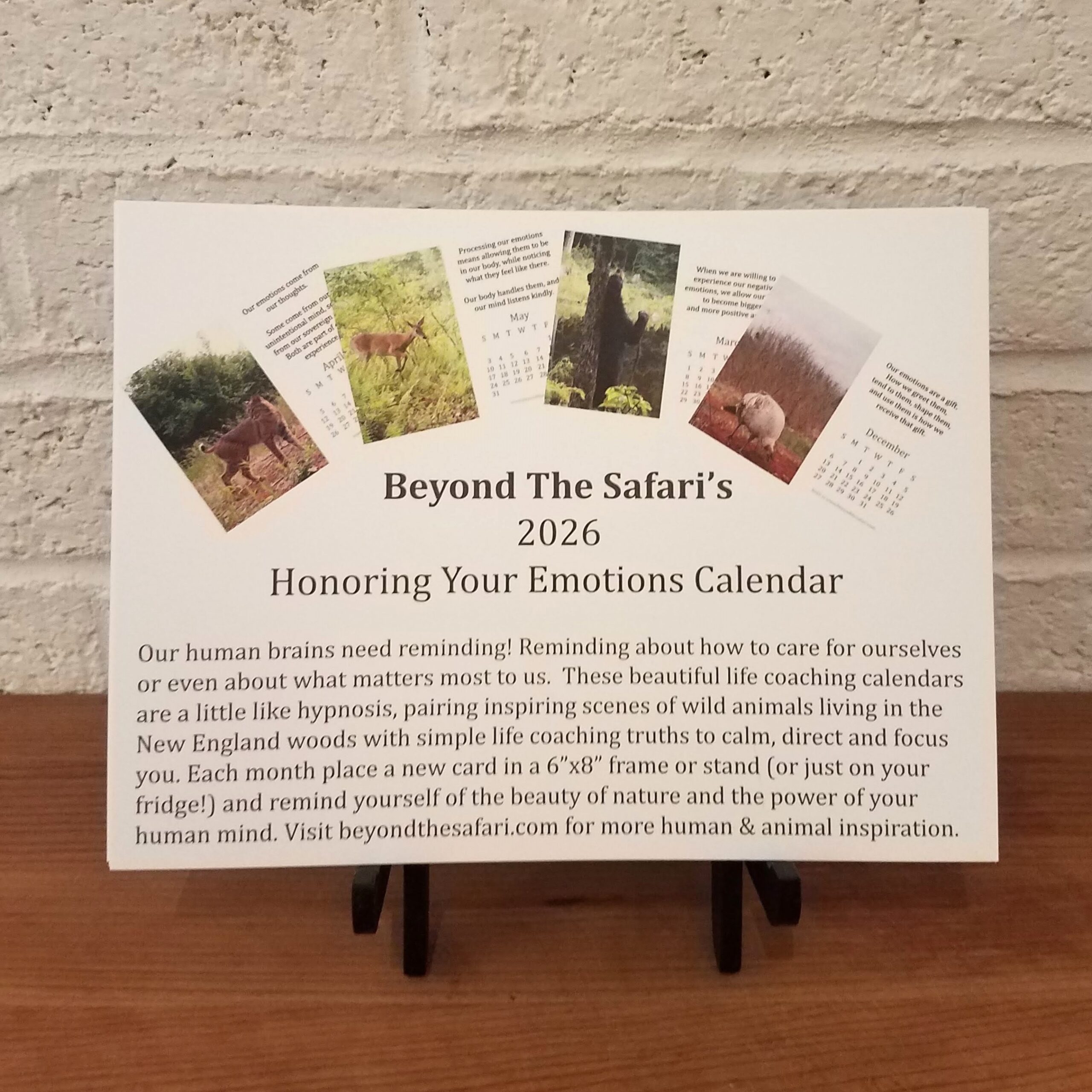 honoringemotionsback