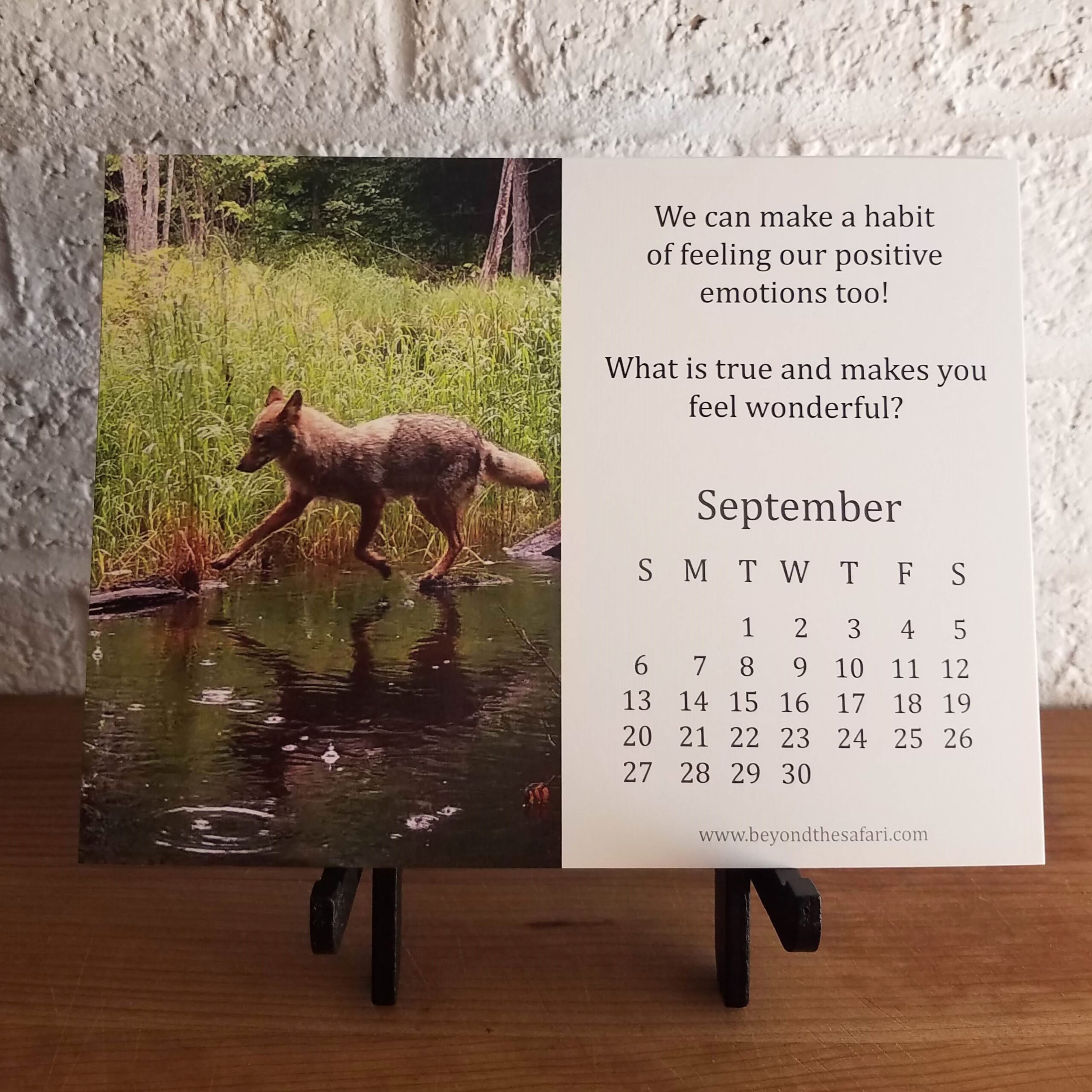 honoringemotionspositive