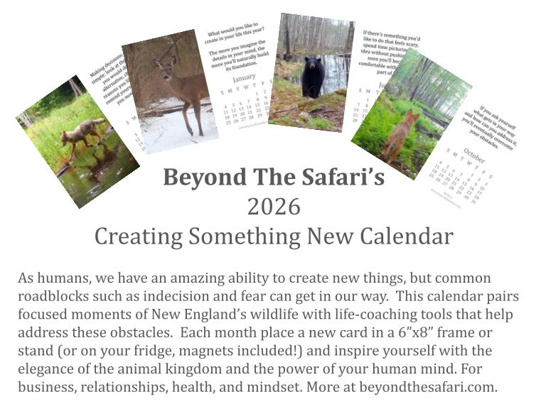 2026_12_month_Creating_New_Back